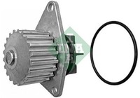 NEU - Schaeffler INA 538000910 Wasserpumpe FüR CitroËN Peugeot