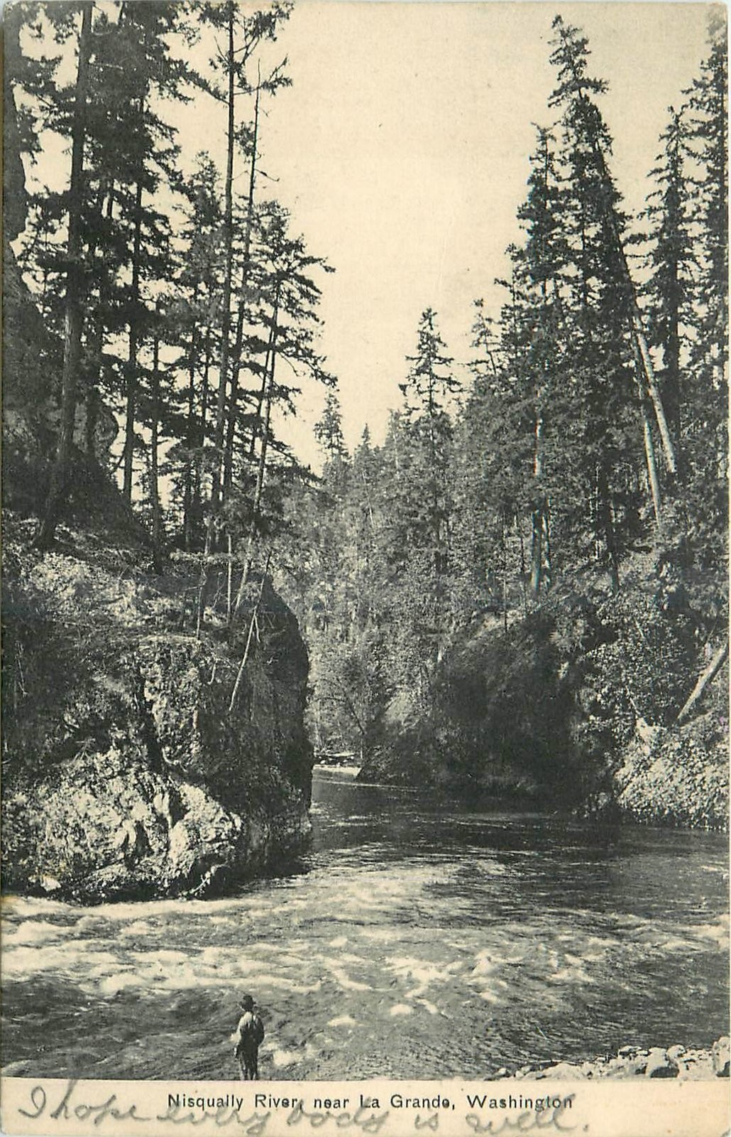 1908 La Grande Washington Nisqually River Puget Sound Postcard 25-11389