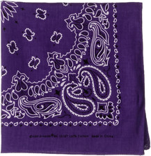 Hav-A-Hank Paisley Bandanna 22"X22", Purple