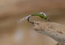 WD40 Olive Emerger Midge Nymph Fly - 1 Doz Flies  - Mustad Signature Hook