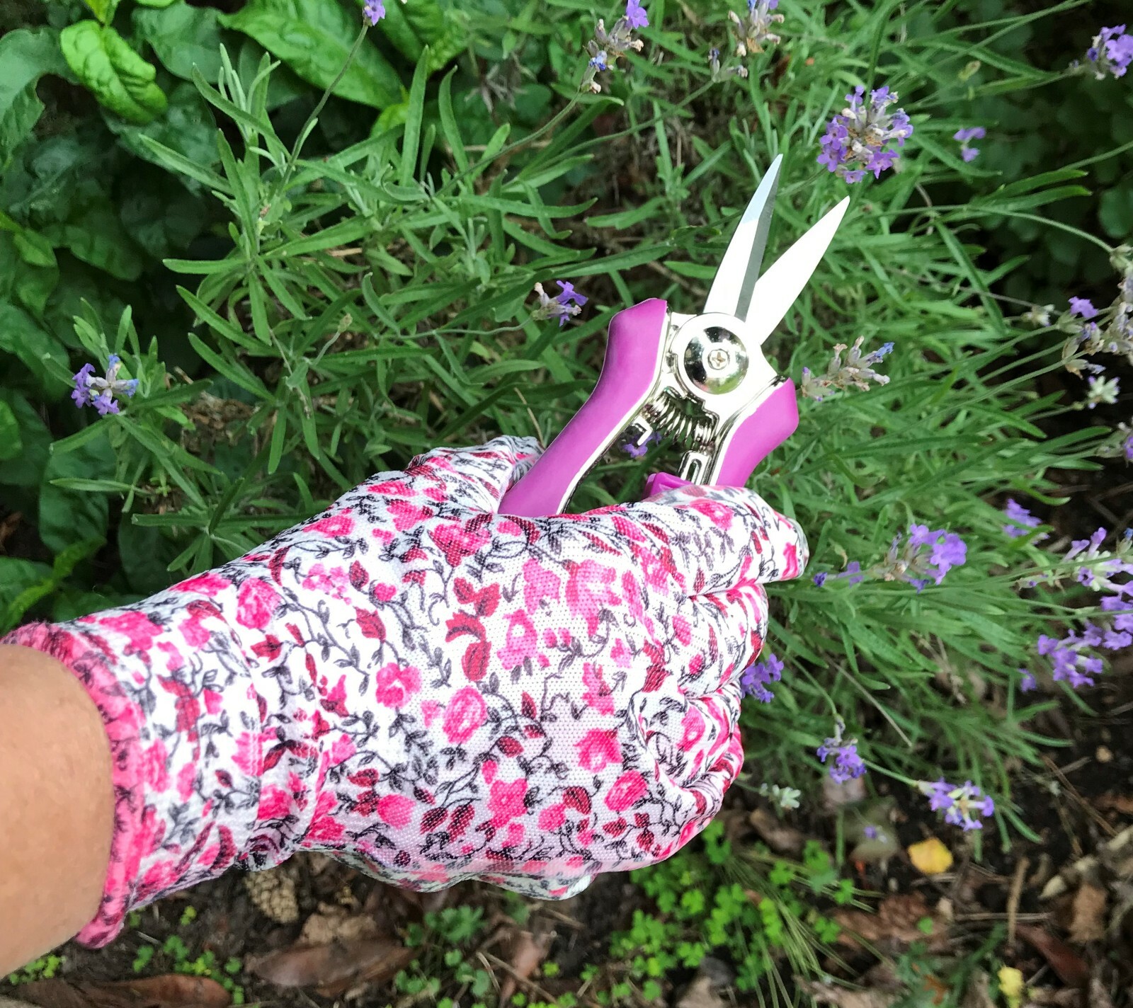 Ladies Garden Gloves (2 pairs) & Mini Pruner Secateurs Set Ladies
