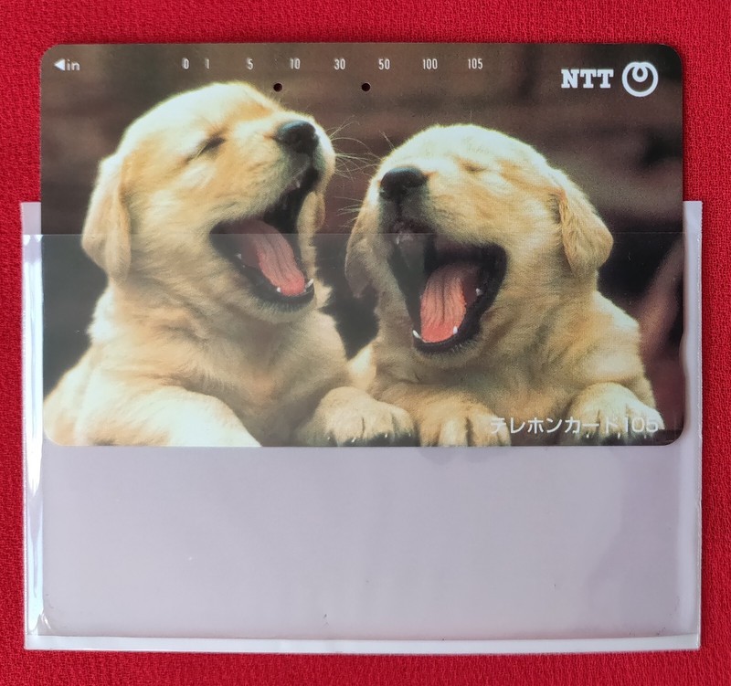 1995 Japanese NTT Phone Card 105 Puppies with Card sleeve and Telephone Envelope