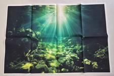 Aquarium Background Poster Rocky River Bed Fish Tank Background Picture 24x16 in