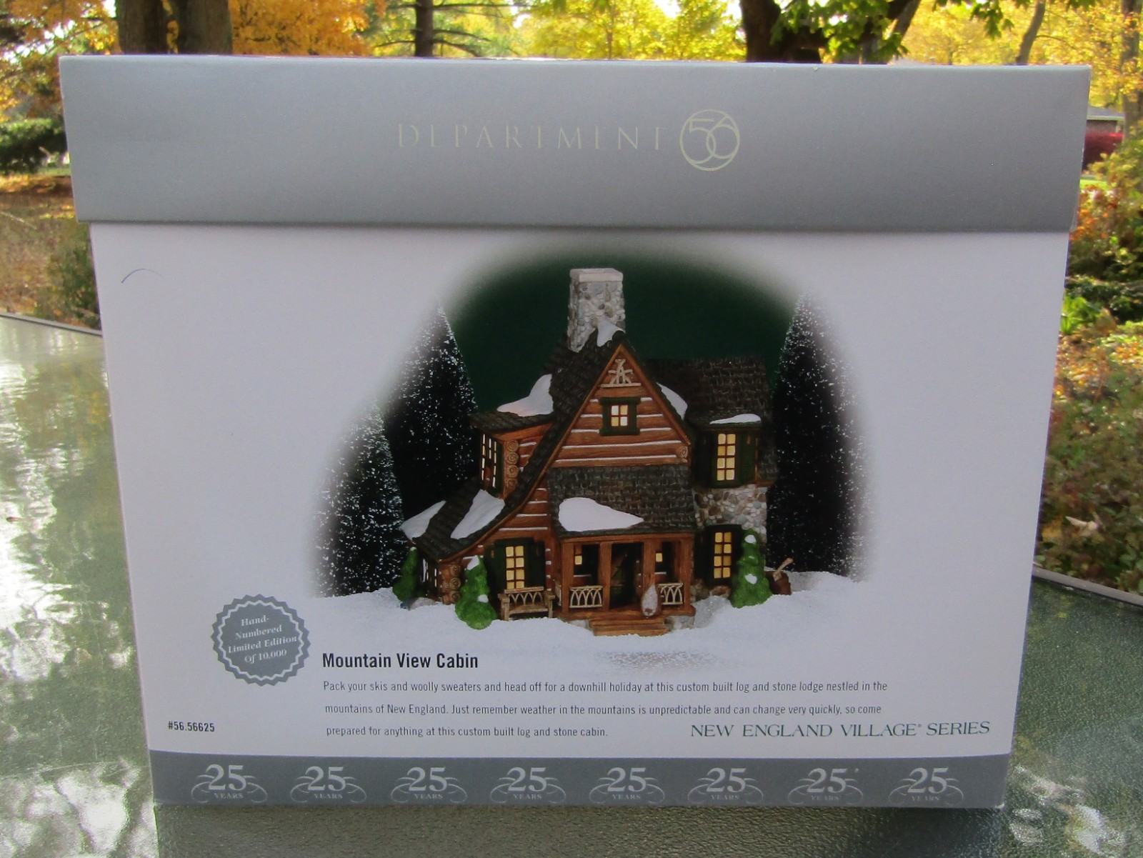 Click here to see eBay Auction