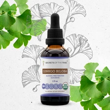Secrets Of The Tribe Organic Ginkgo Biloba Tincture Alcohol-FREE