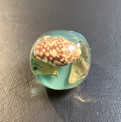 Vtg Lucite Ring Seashell Bubble Ring Clear Gold Leaf Inset 80s Mod Retro Sz 4.75 - Picture 2 of 7