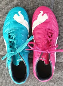 puma evo power 3