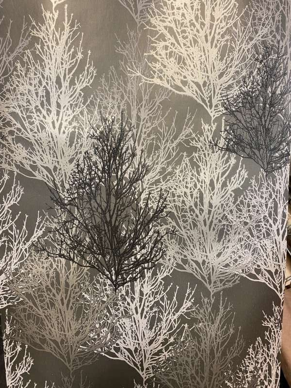 Picture 2 of 11