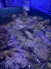 Picture 2 of 5