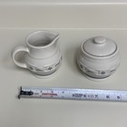 Foto 15 di 16