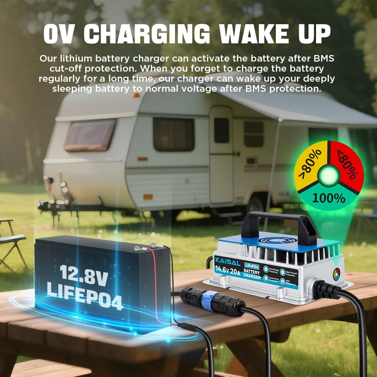 12V 20A Lithium Battery Charger 14.6V LiFePO4 Battery Charger IP67 Waterproof...