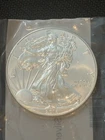 2013 American Silver Eagle Coin 1 oz $1 - BU