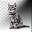 catpeople2011