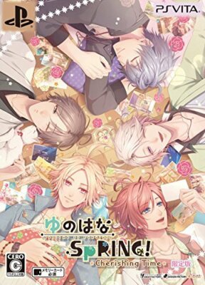 Usé Ps Vita Himawari: Pebble dans Le Ciel Psv 70491 Japon Import