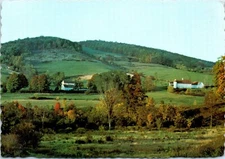 Having Food and Raiment, Let Us Be Therewith Content 1 Timothy 6:8 Postcard