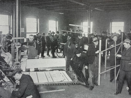1909 OSU Bollettino Collegio di Agricoltura e Scienze Domestiche Vol.XIII n.21 - Foto 6 di 8