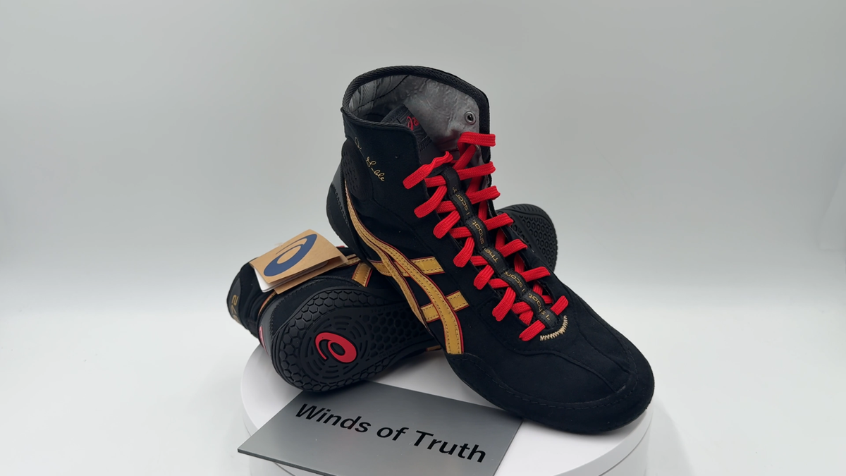 ASICS Wrestling Shoes DAN GABLE EVO 3 1081A052 002 US 6-12.5 Black