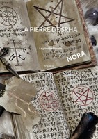 La Pierre De Srha Tome III Nora Nash Taschenbuch FranzöSisch 2023