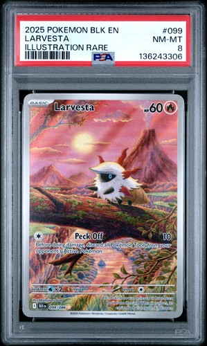 Larvesta graded PSA 8 for sale on eBay