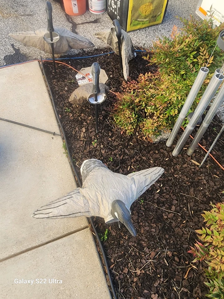 Canadian Goose Decoys Plastic Floating with Attached Weight Set of 4 - Image 2 of 4