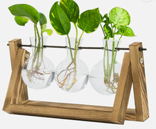 Plant Terrarium with Wooden Stand Plant Transparent 3 Bulb Vase Home Decor