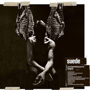 Suede Vinyl | eBay