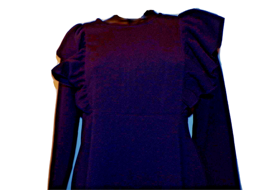 Goryla girl's bl ruffle Dress 13-14Y Long Sleeve zip back Soft textured CR - Picture 3 of 10
