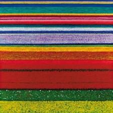 CITY AND COLOUR - LITTLE HELL  CD NEU 