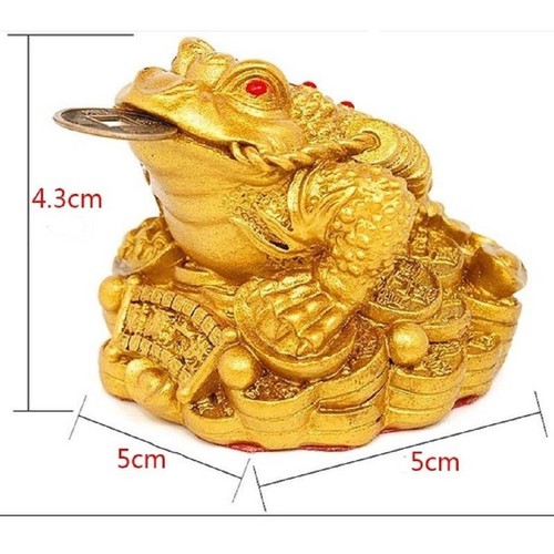 Feng Shui Geld Lucky Fortune Orientalische Chinesische Reichtum