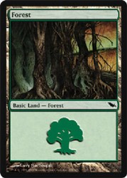 Forest (298) Shadowmoor SHM Magic MTG