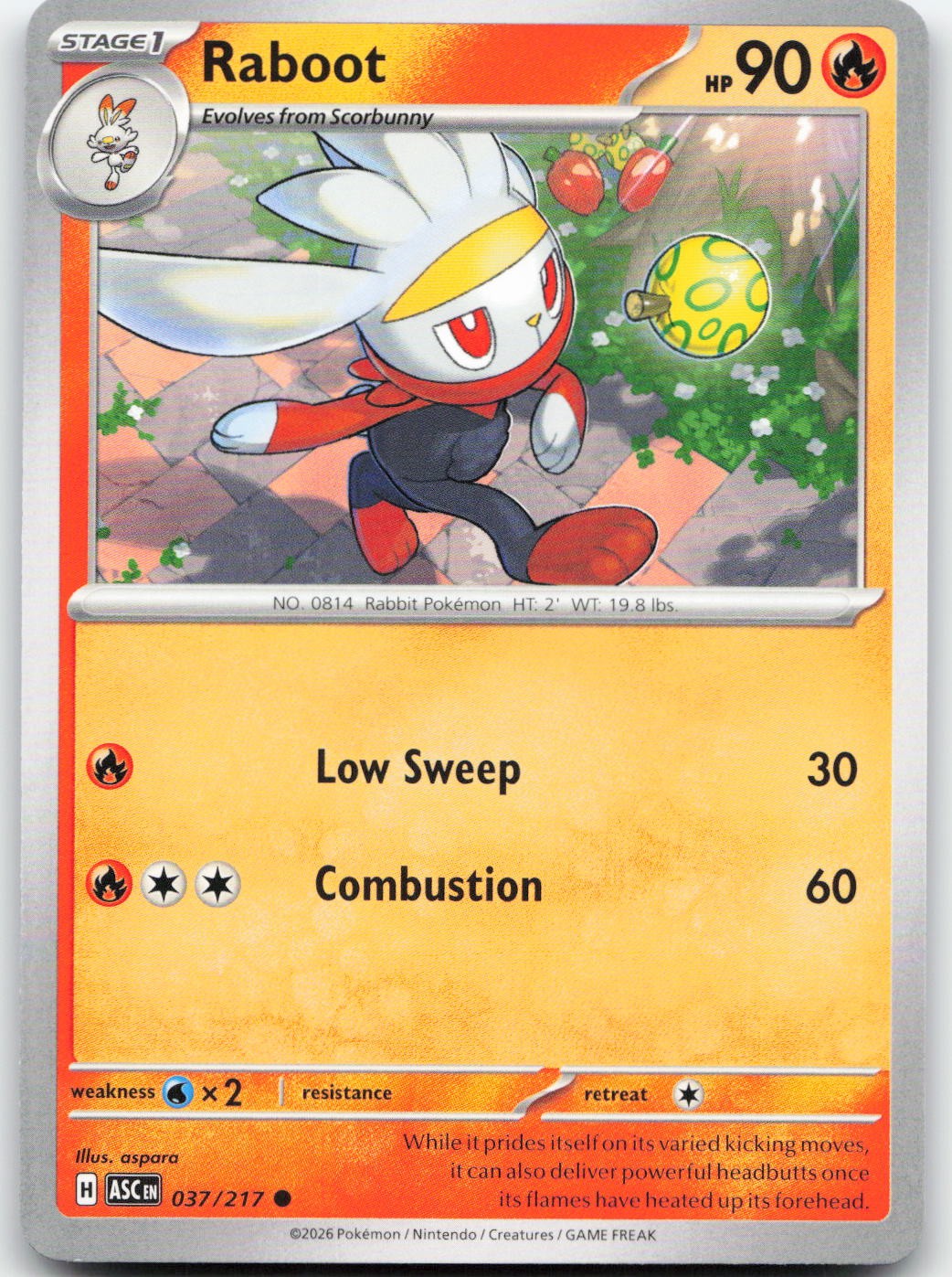 Raboot 037/217 Common ASC Pokemon NM
