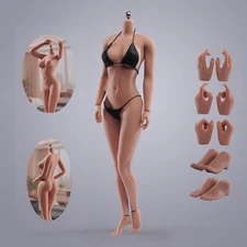 ANT 1/6 AB001S Suntan Skin Female Body Large Bust Breast 12inch Seamless Figure