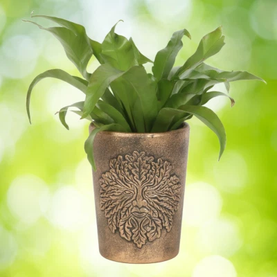 Plant Pot Terracotta Distressed Gold Colour Lovely Pattern By Lisa Parker Boxed