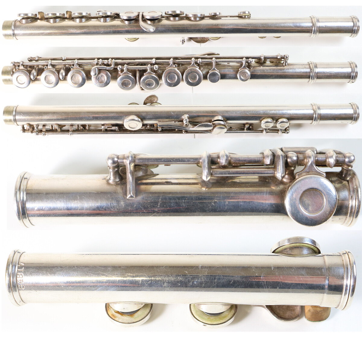 1965年製silver toneシルバートーン1448Amp in Case 1965年製silver toneシルバートーン1448Amp in Case - メルカリ