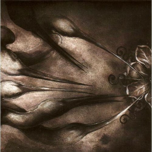 Chaos Is My Name, Khlyst, Good - Foto 1 di 1
