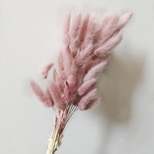 50pcs Nature Bunny Rabbit Tail Grass Dried Flower Bouquet Wedding Party Decor - Picture 37 of 44