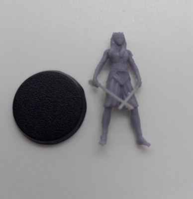 Sci Fi Ahsoka Tano Ronin No Cloak 3D Printed Resin Model Cyberpunk Roleplay