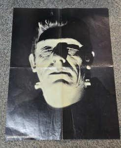 Frankenstein's Monster/Dracula Horror Poster 21 X 16 inch
