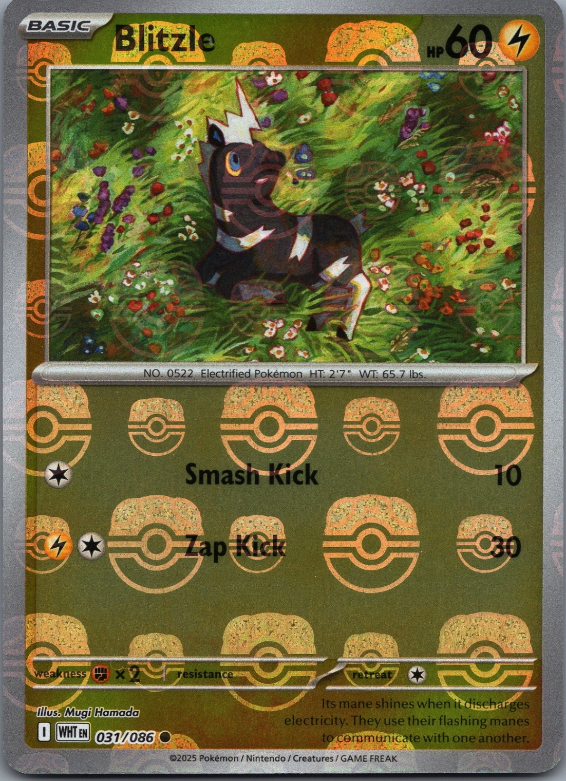 Blitzle (Master Ball Pattern) 031/086 Holo SV: White Flare NM