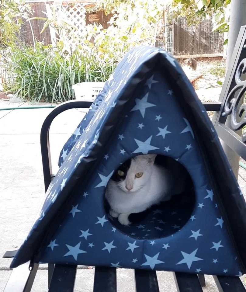 Refugio para gatos, casa para gatos interior/exterior, impermeable, resistente a la intemperie Foto 3 de 4