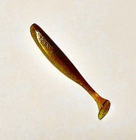 "Keitech Easy Shiner 3\" Pumpkin Yellow"