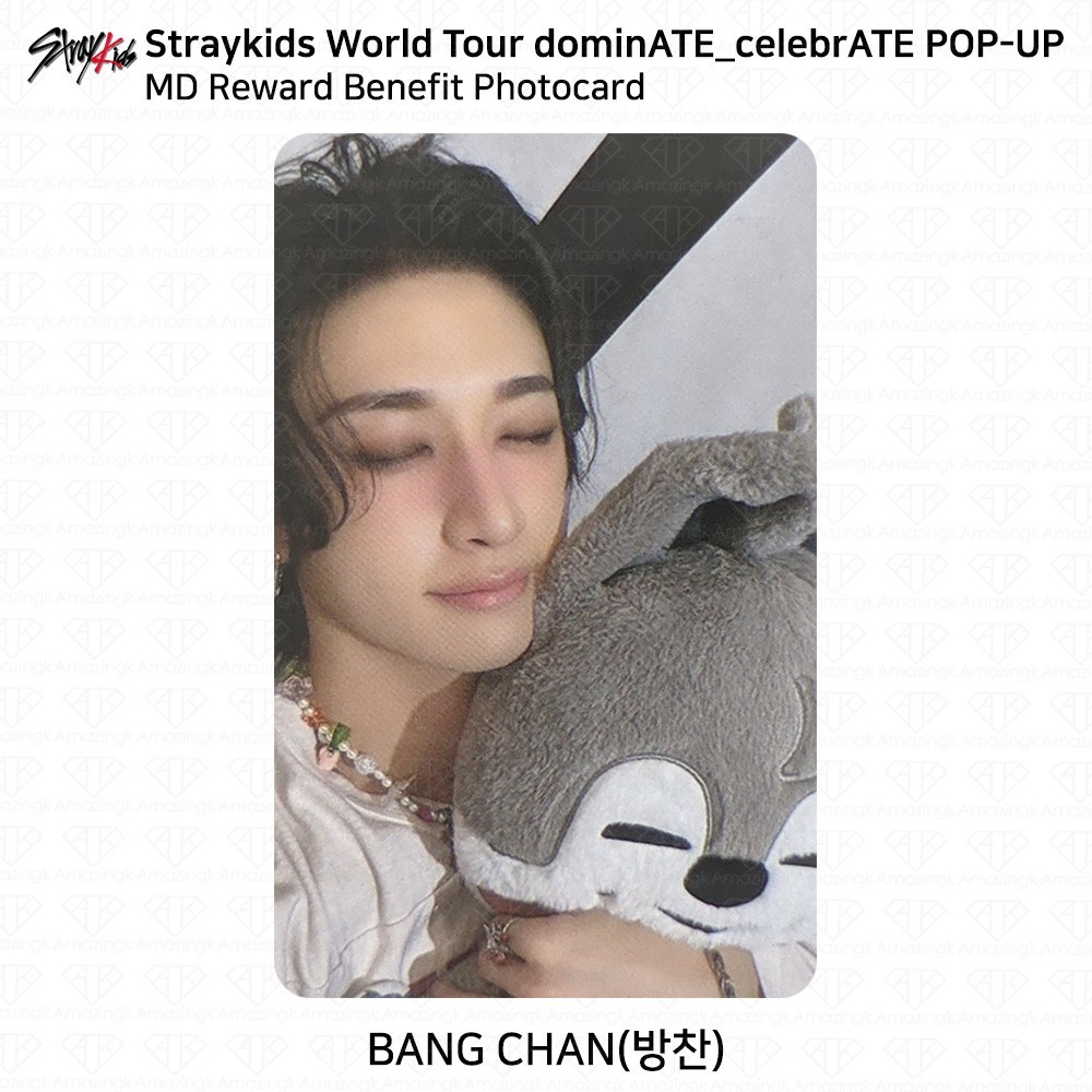 Stray Kids World Tour DominATE CelebrATE POP-UP MD Reward Benefit