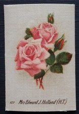 MRS EDWARD J HOLLAND British Roses by British American Tobacco 1924 SILK