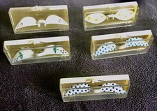 Vintage Women’s 1950-1960’s Eyeshields For Tanning Lot Of 5