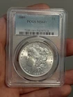 1889 Morgan Silver Dollar PCGS MS64+