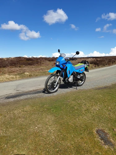 Kawasaki KLR 650 - Picture 1 of 8