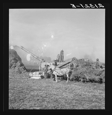 Photo:Ontario Oregon 1939 Threshing Red Clover Seed Ranch Horses