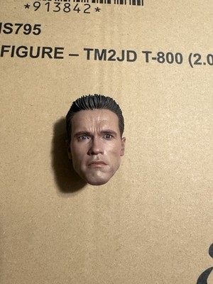 Hot Toys Terminator 2 Judgement Day MMS795 T-800 (2.0) Arnold T-800 Head Sculpt 