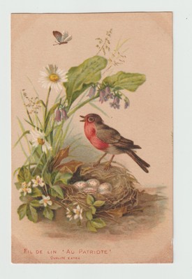 LEINENGARN MIT PATRIOTEN. Rotkehlchen. Vögel.  CPA 2329