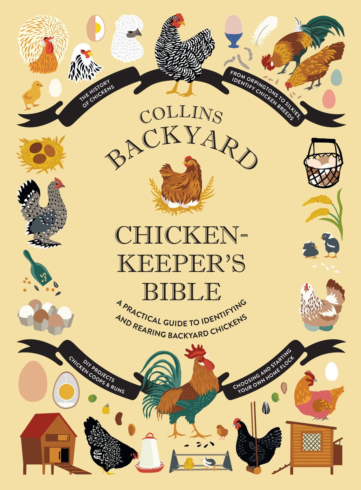 Collins Backyard Chicken-keepers Bible by Jessica Ford, Rach... - 9780008529444 - Image 4